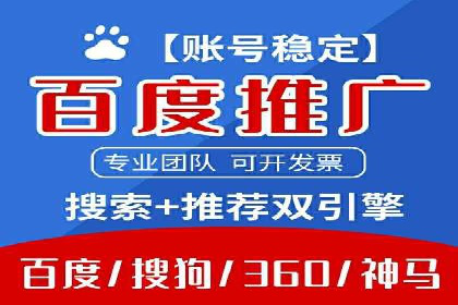 互联网公司SEM代运营成功案例剖析